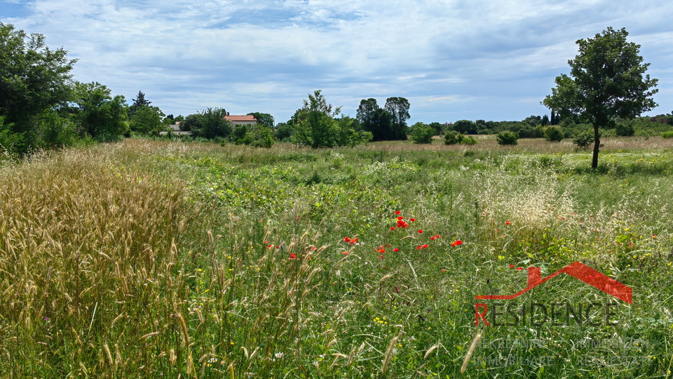 PULA- VELI VRH, BUILDING LAND