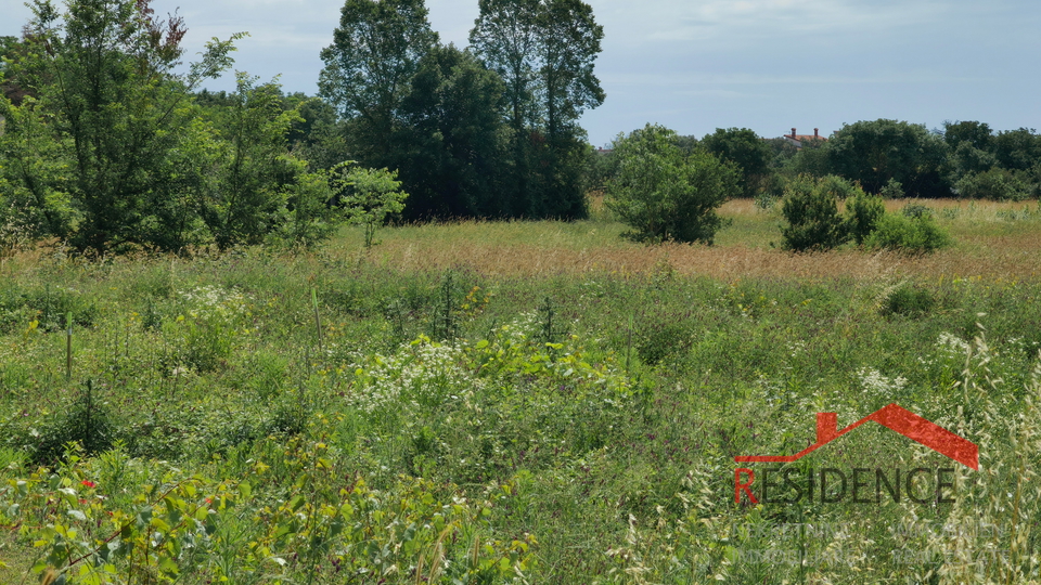 PULA- VELI VRH, BUILDING LAND