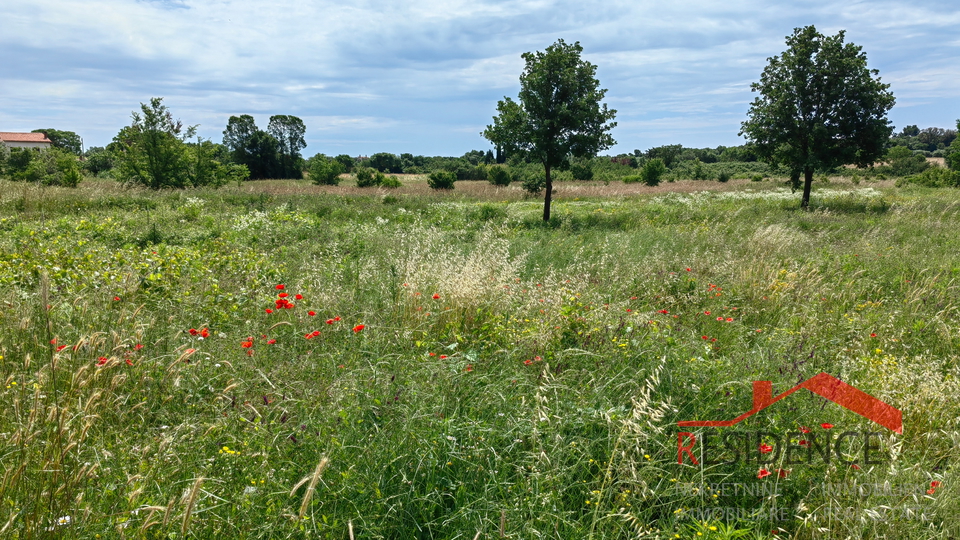 PULA- VELI VRH, BUILDING LAND