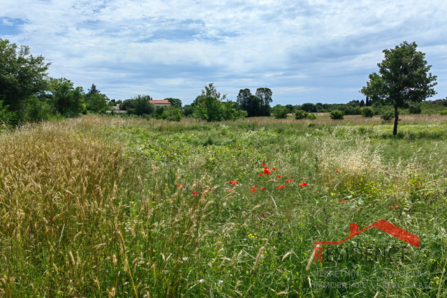 PULA- VELI VRH, BUILDING LAND