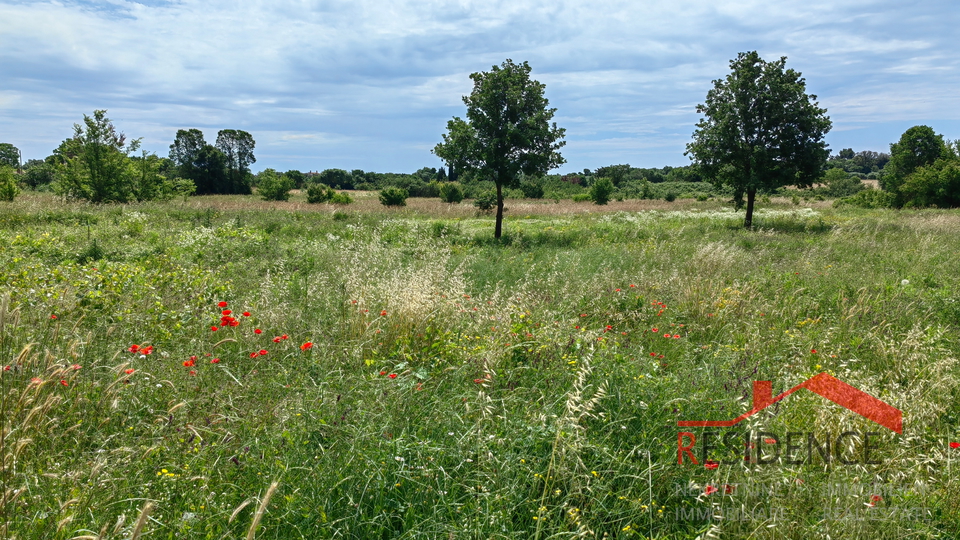 PULA- VELI VRH, BUILDING LAND