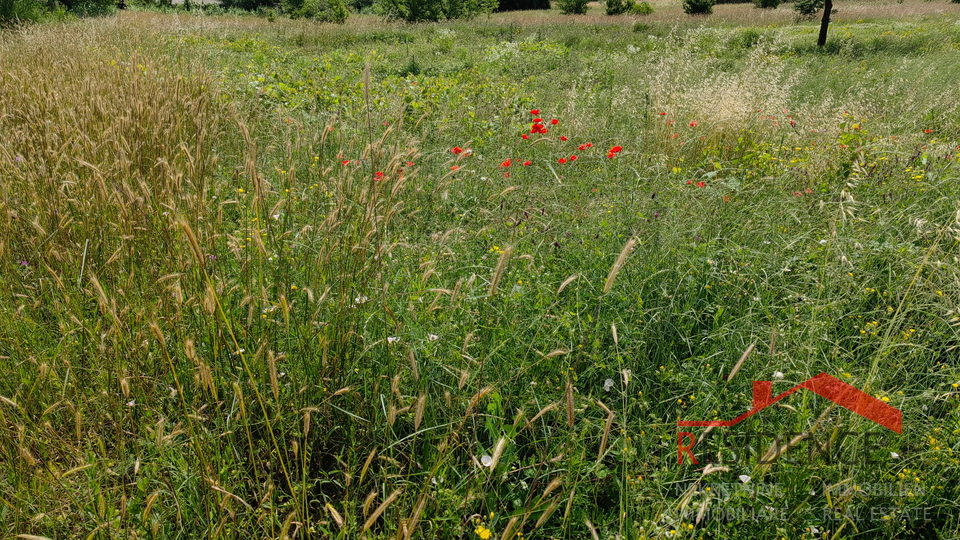 PULA- VELI VRH, BUILDING LAND