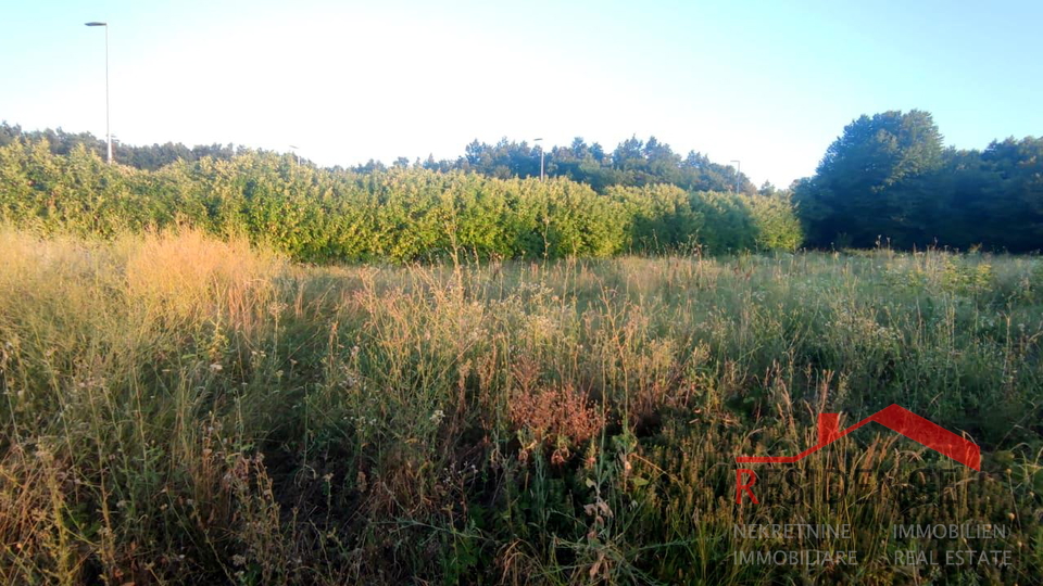 Land, 5389 m2, For Sale, Pazin - Zabrežani