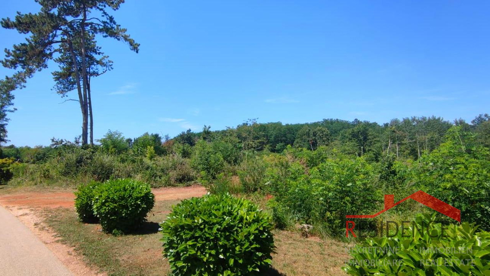 Land, 10811 m2, For Sale, Pazin - Heki