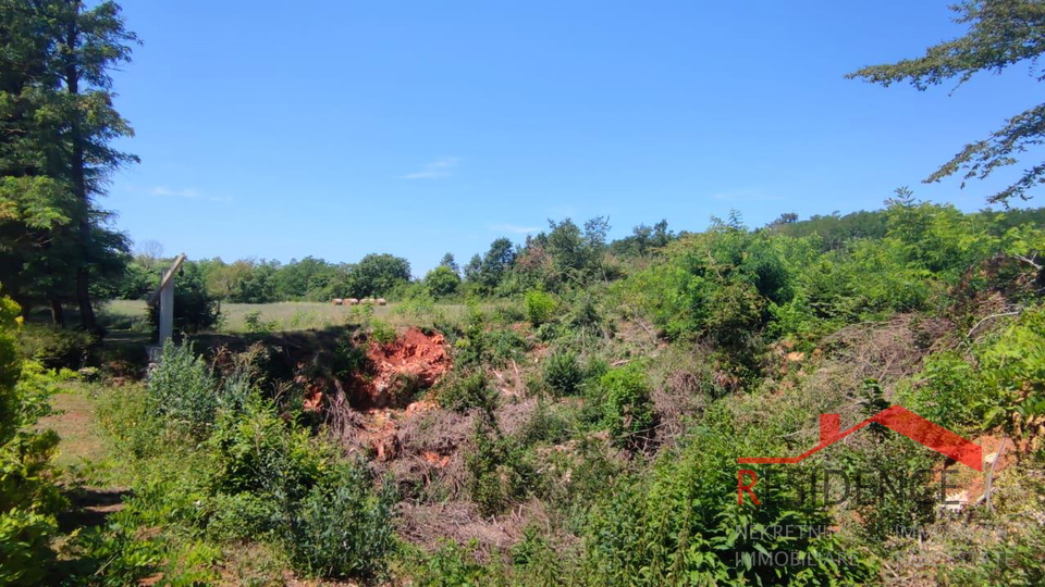 Land, 10811 m2, For Sale, Pazin - Heki