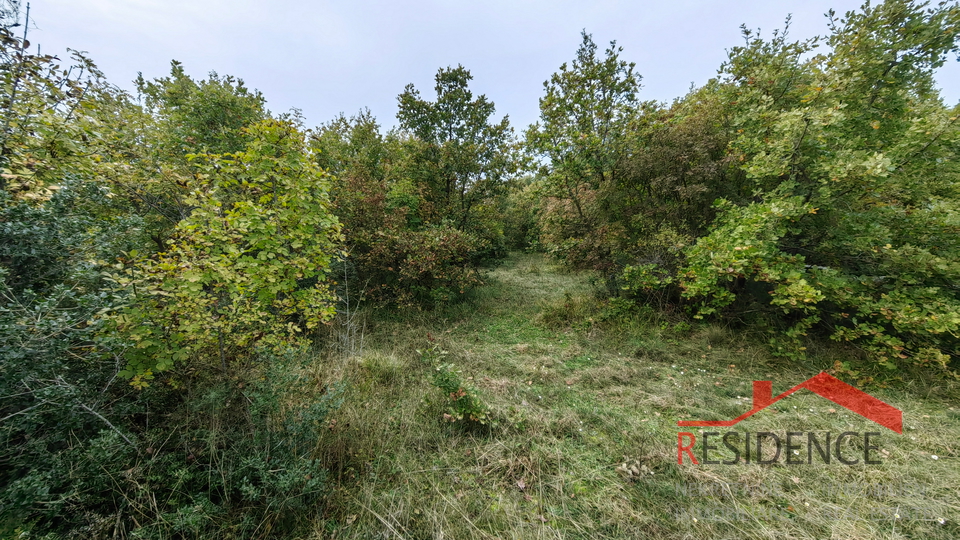 Dignano-Gajana, terreno agricolo