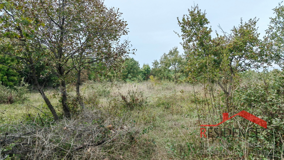 Dignano-Gajana, terreno agricolo