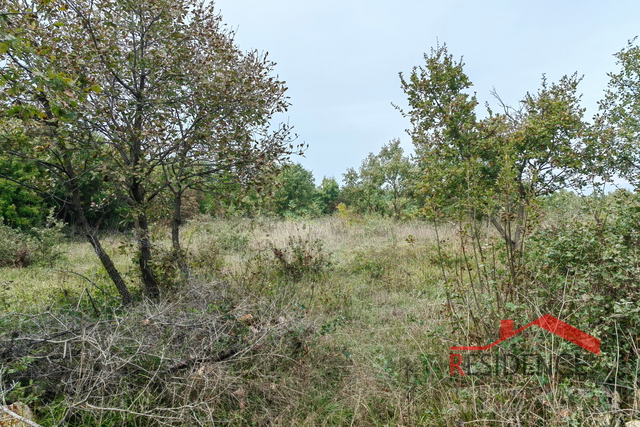 Dignano-Gajana, terreno agricolo