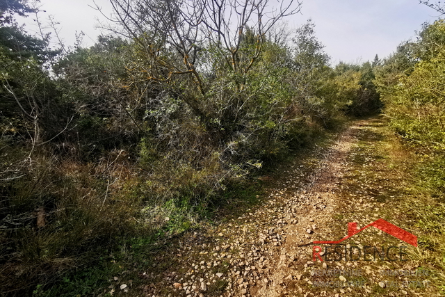 Fažana - Dignano, terreno agricolo