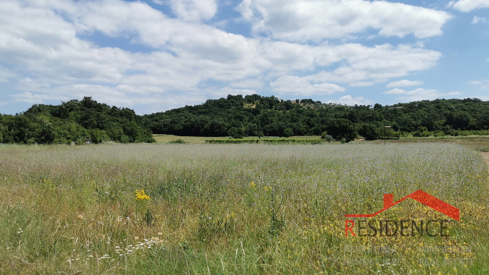 Land, 9619 m2, For Sale, Bale