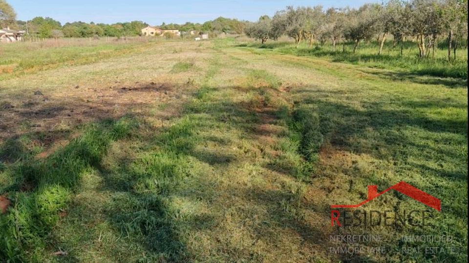 Banjole, landwirtschaftliches Land mit Olivenhain und Wasser