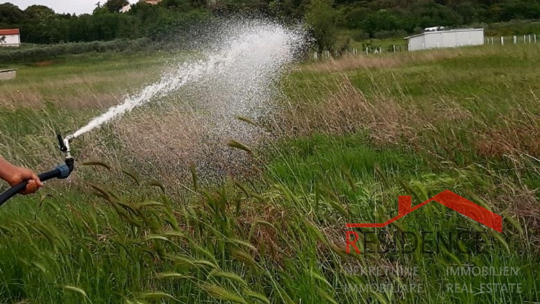 Banjole, landwirtschaftliches Land mit Olivenhain und Wasser