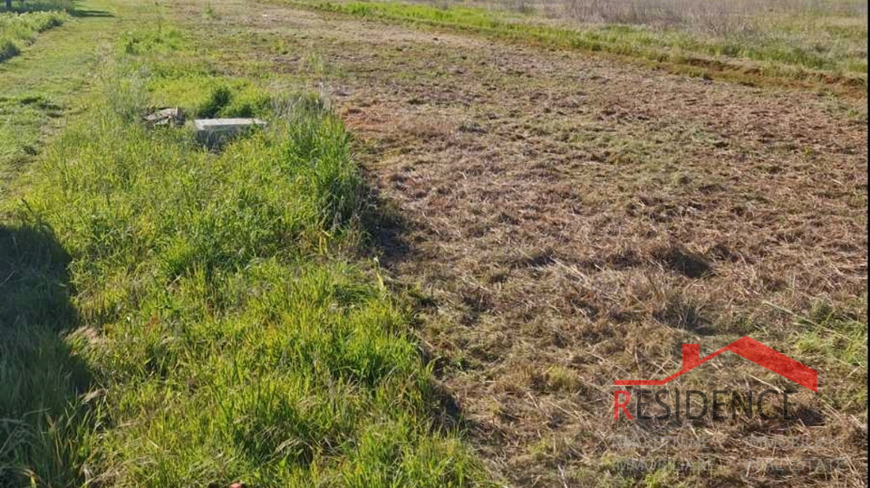 Banjole, landwirtschaftliches Land mit Olivenhain und Wasser