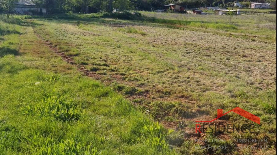 Banjole, landwirtschaftliches Land mit Olivenhain und Wasser