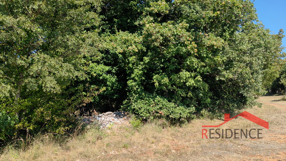 Land, 2605 m2, For Sale, Šegotići