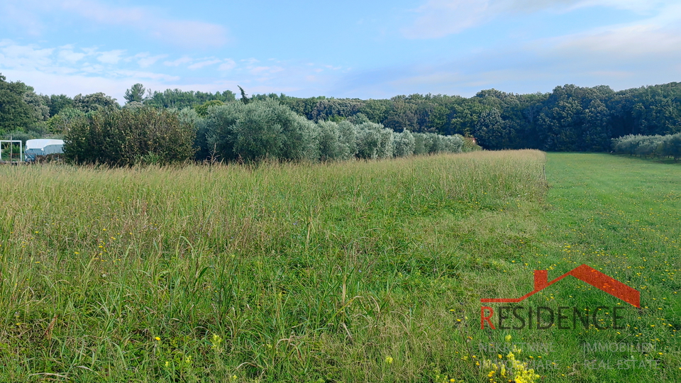 LANDWIRTSCHAFTLICHES GRUNDSTÜCK IN BANJOLE