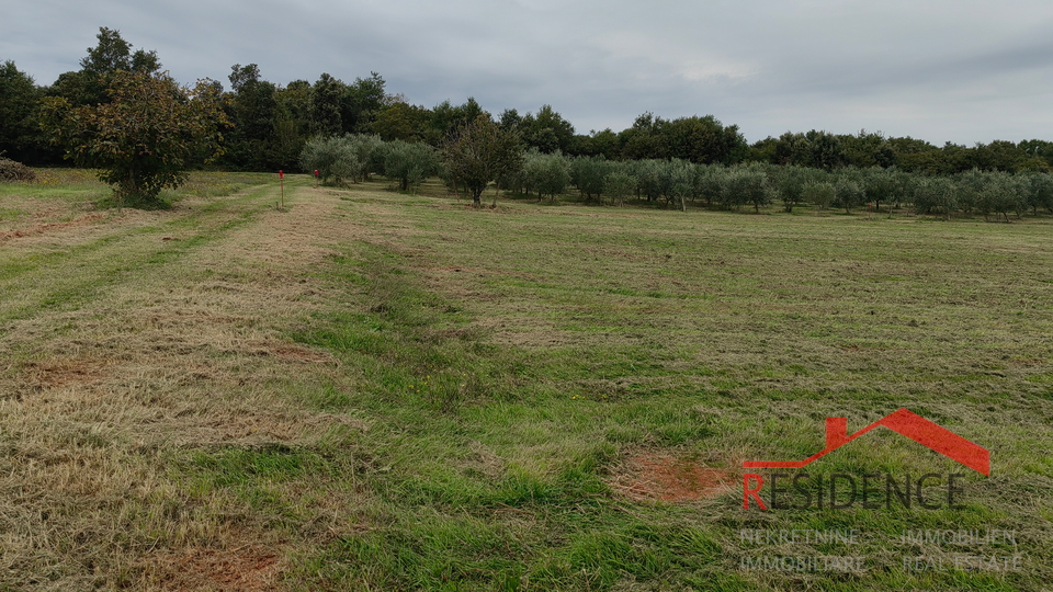 Terreno, 797 m2, Vendita, Ližnjan - Šišan