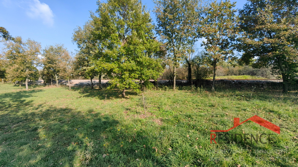 CUKRIĆI, AN OLD STONE HOUSE FOR RENOVATION WITH A LARGE YARD