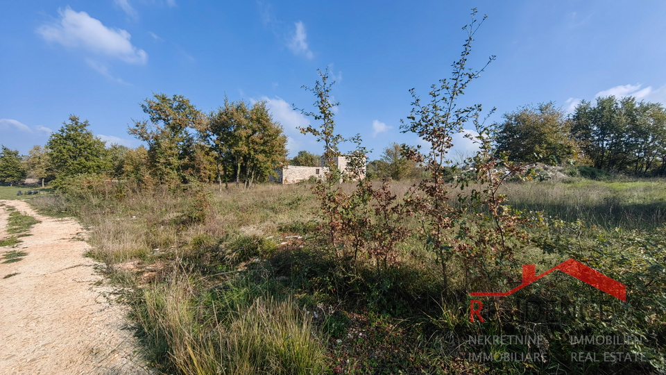 CUKRIĆI, AN OLD STONE HOUSE FOR RENOVATION WITH A LARGE YARD