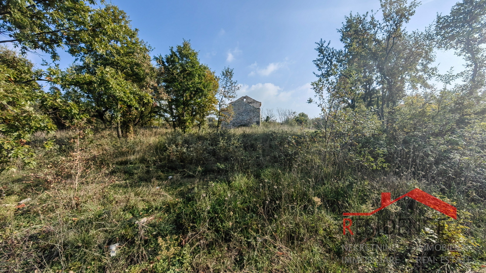 CUKRIĆI, AN OLD STONE HOUSE FOR RENOVATION WITH A LARGE YARD