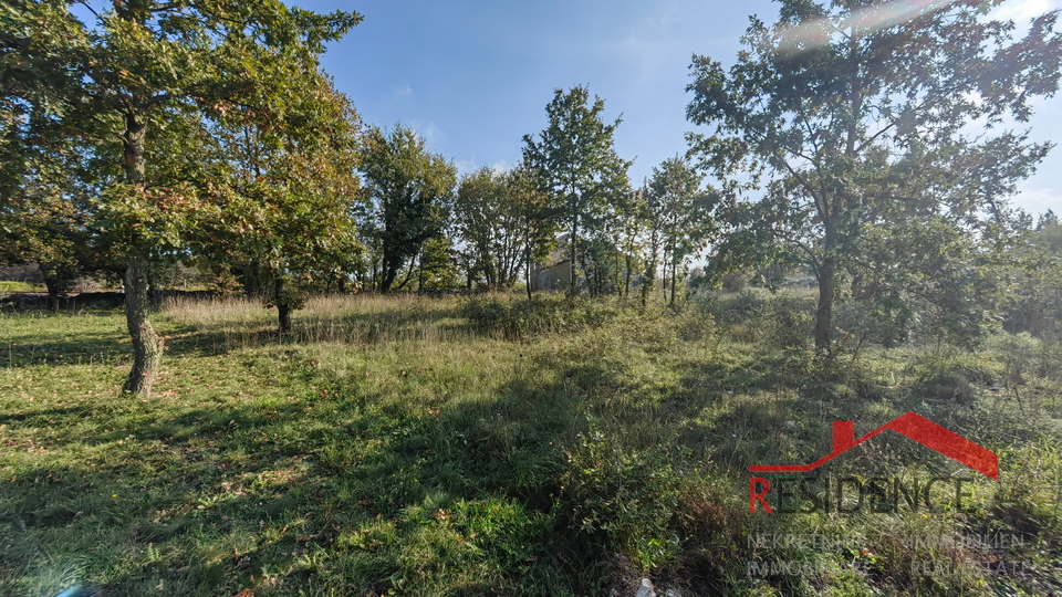 CUKRIĆI, AN OLD STONE HOUSE FOR RENOVATION WITH A LARGE YARD