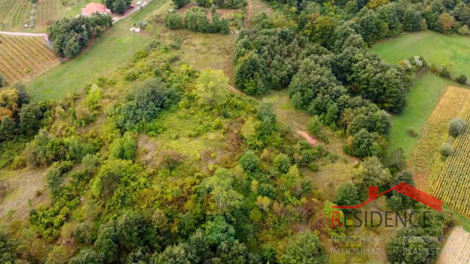 Gračišće, antica casa istriana in rovina con ampio giardino