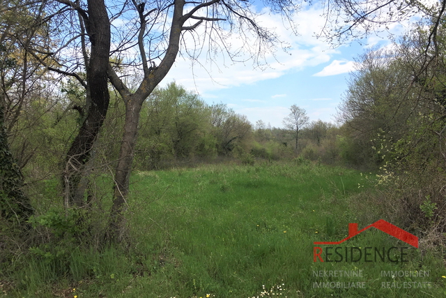 Land, 1758 m2, For Sale, Barban - Kožljani