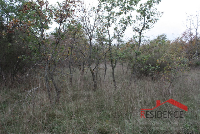 Land, 67342 m2, For Sale, Krnica