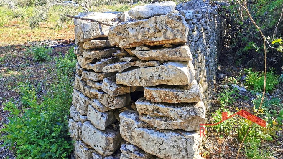 LIJEPI MASLINIK, OKOLICA BATVAČI