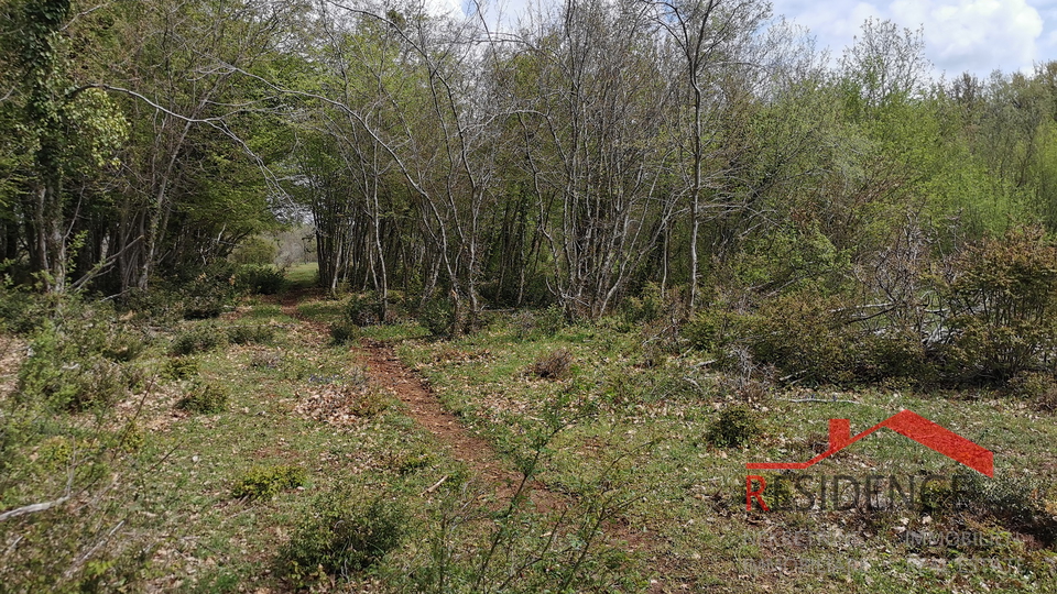 Land, 32290 m2, For Sale, Bale