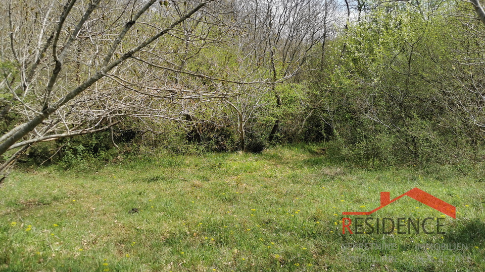 Land, 32290 m2, For Sale, Bale