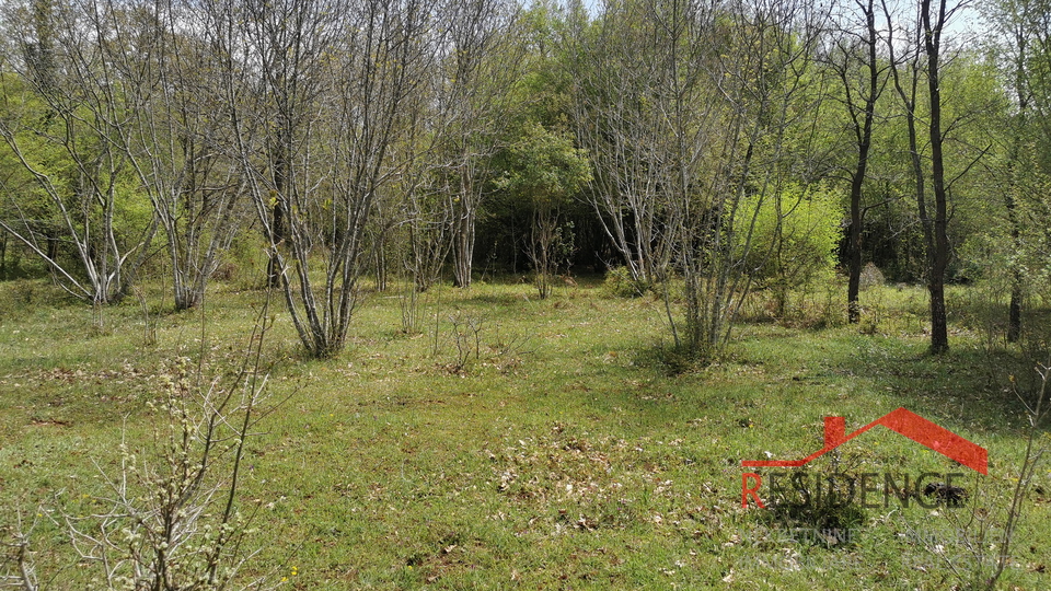 Land, 32290 m2, For Sale, Bale