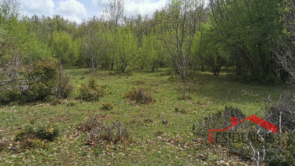 Land, 32290 m2, For Sale, Bale