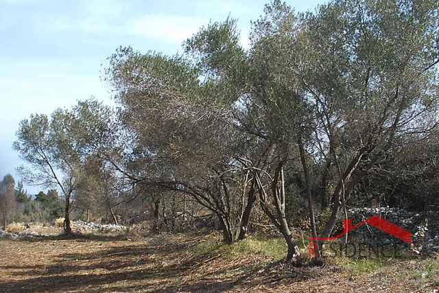 PREMANTURA - MONTE KOPE, BAULAND IN DER ZONE TP