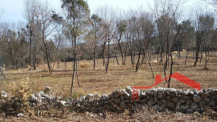 PREMANTURA - MONTE KOPE, ZAZIDLJIVO ZEMLJIŠČE V TP CONI