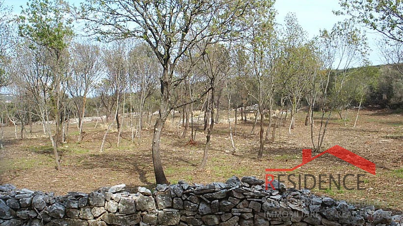 PREMANTURA - MONTE KOPE, BUILDING LAND IN TP ZONE