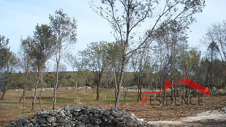 PREMANTURA - MONTE KOPE, ZAZIDLJIVO ZEMLJIŠČE V TP CONI