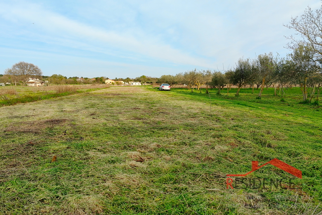 Banjole, poljoprivredno zemljište s maslinikom i vodom