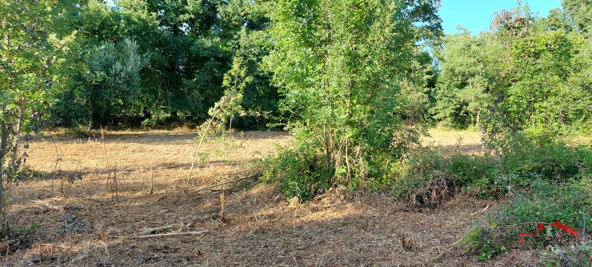 Šegotići, Bau- und Agrarland in einem Stück