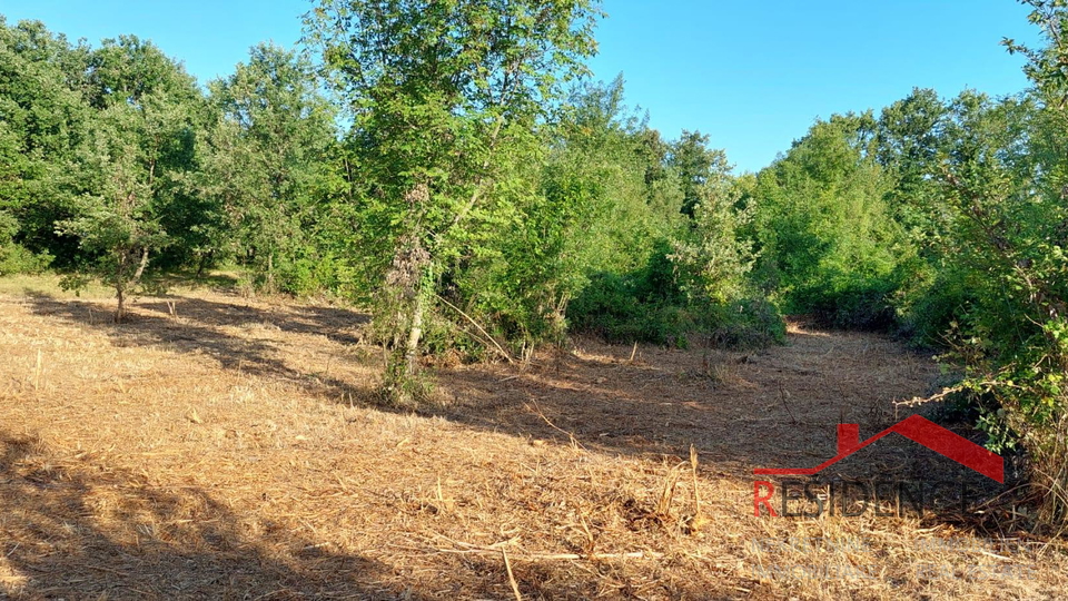 Land, 2605 m2, For Sale, Šegotići