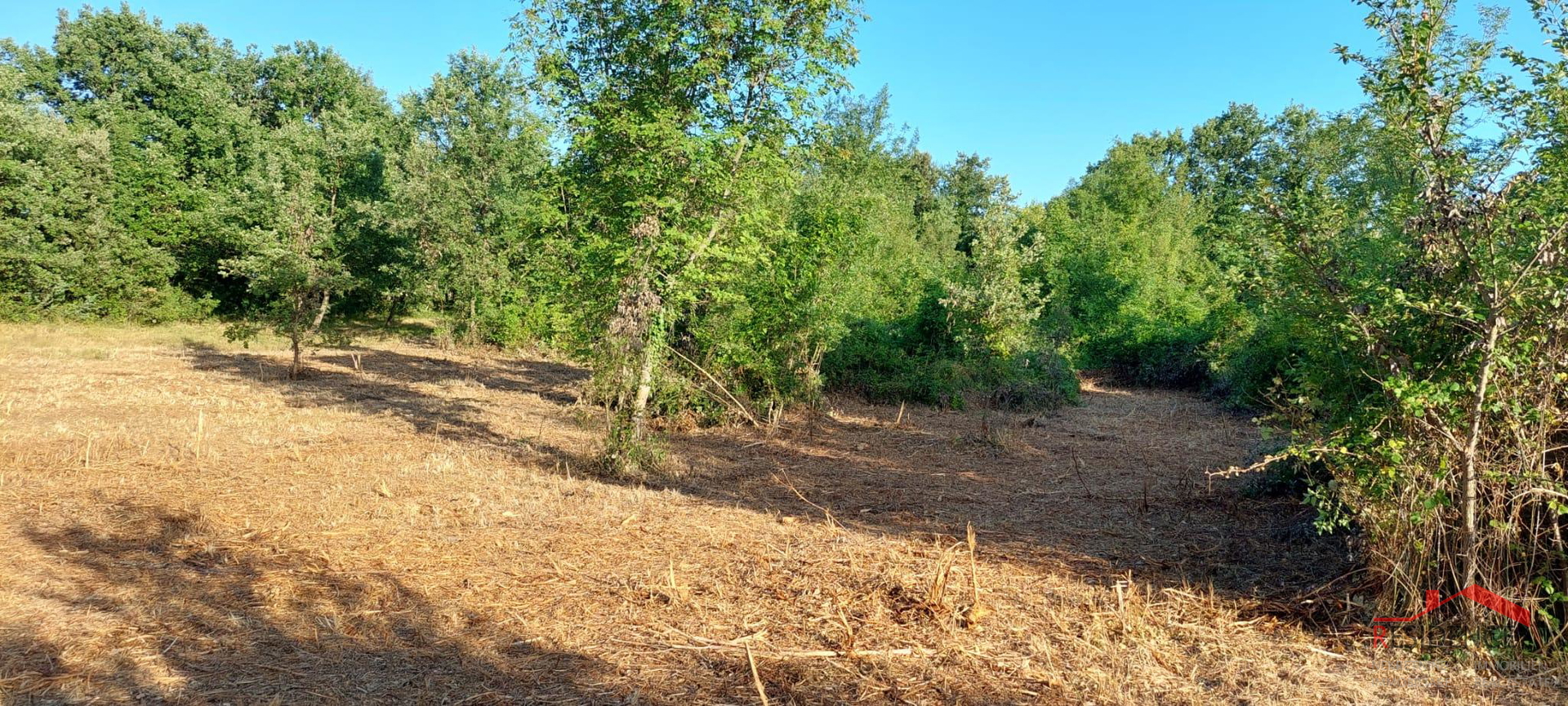 Šegotići, Bau- und Agrarland in einem Stück