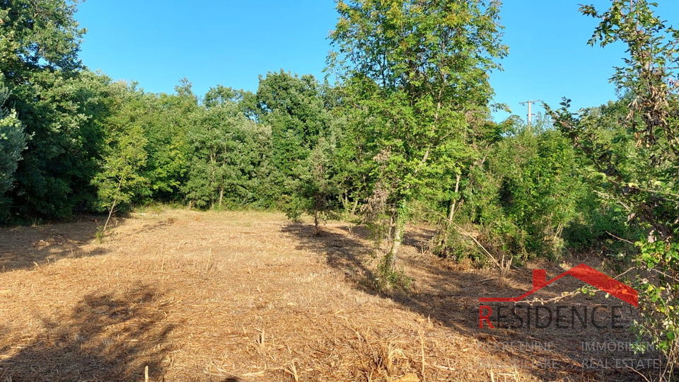 Land, 2605 m2, For Sale, Šegotići