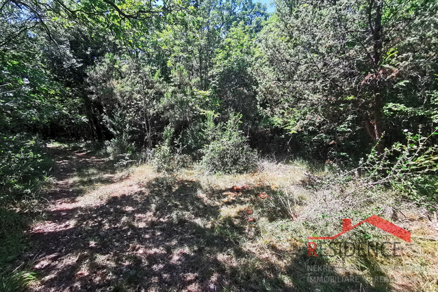 Mali Vareški - Pavićini, poljoprivredno zemljište