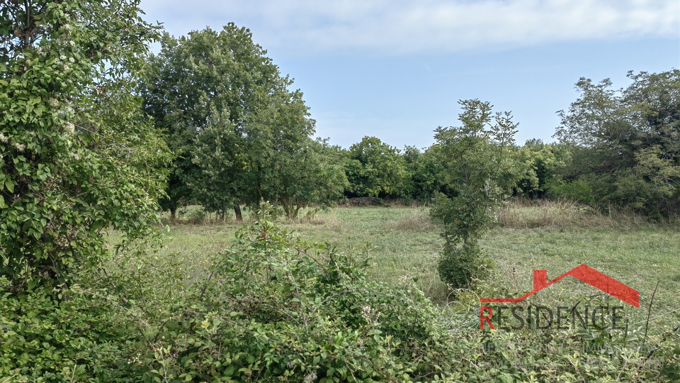 Land, 603 m2, For Sale, Pavićini