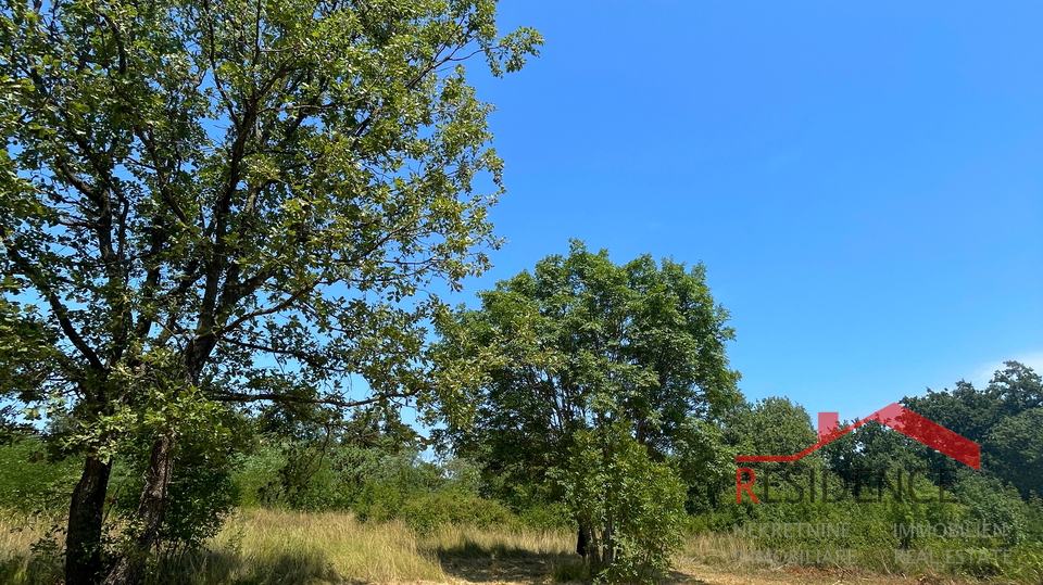 Krnica, terreno agricolo