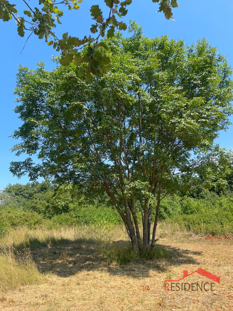 Krnica, Poljoprivredno zemljište