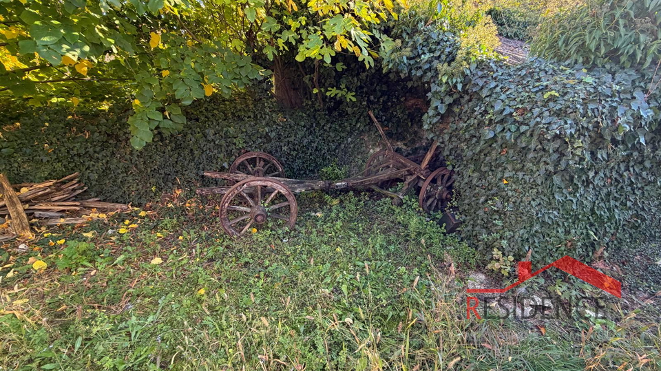 Filipana, Stara istrska hiša, vrt, garaža, konoba