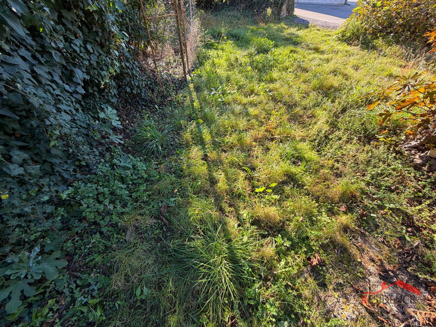 Filipana, Old Istrian house, garden, garage, tavern