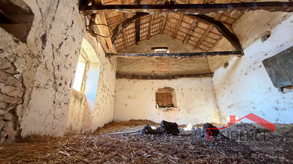 Filipana, Stara istrska hiša, vrt, garaža, konoba