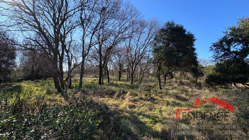 Pula&comma; Monte Turco&comma; zemlji&scaron;te&comma; struja&comma; bu&scaron;otina vode